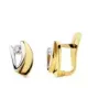 18K PENDIENTES BICOLOR CIRCONITA 9X5 MM CIERRE CATALAN 1