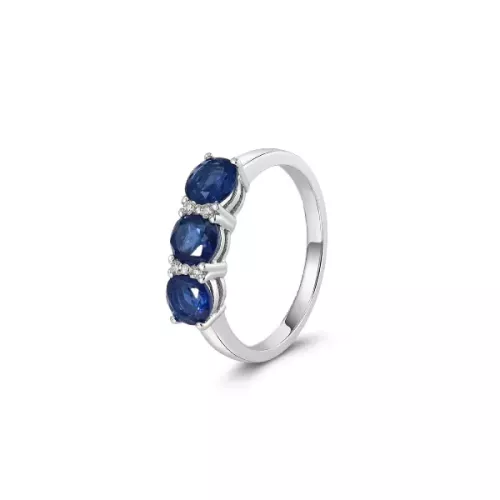 ANILLO NOCTILUCENT - 3000179B