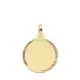 9K PLACA CHAPA DISCO ORO AMARILLO LISO MATE HELICE 18 MM 1