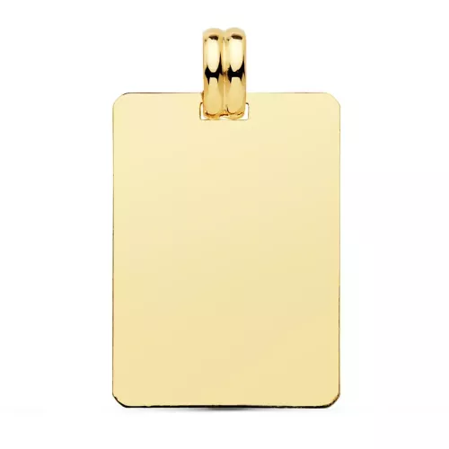 9K PLACA CHAPA ORO AMARILLO LISA 28X20 MM 2