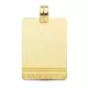 9K PLACA CHAPA LASER ORO AMARILLO GRECA 28X20 MM 3