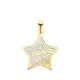 18K COLGANTE DE NACAR FORMA ORO AMARILLO DE ESTRELLA Y MAMA CON FLORES 16X15MM 0