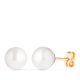 18K PENDIENTES ORO AMARILLO PERLA CULTIVADA 8 - 8
