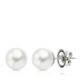 18K PENDIENTES ORO BLANCO PERLA AUSTRALIANA 9.5-10 MM CIERRE PRESION 1