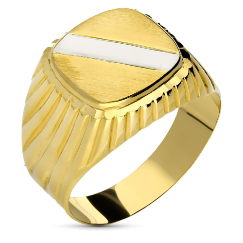 18K SELLO ORO BICOLOR HUECO GALLONEADO CUADRADO CON BANDA. ZONA GRABADO: 11X11 MM 4