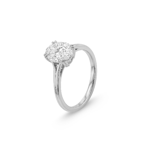 ANILLO ÉLYSIA - ZR09743