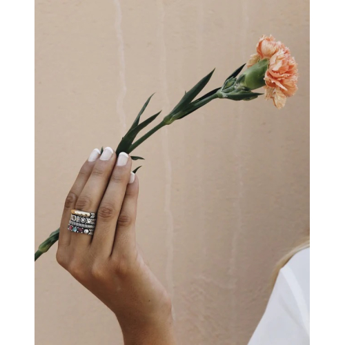 ANILLO CHANDRA 04