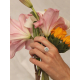 ANILLO CASIOPEA 44