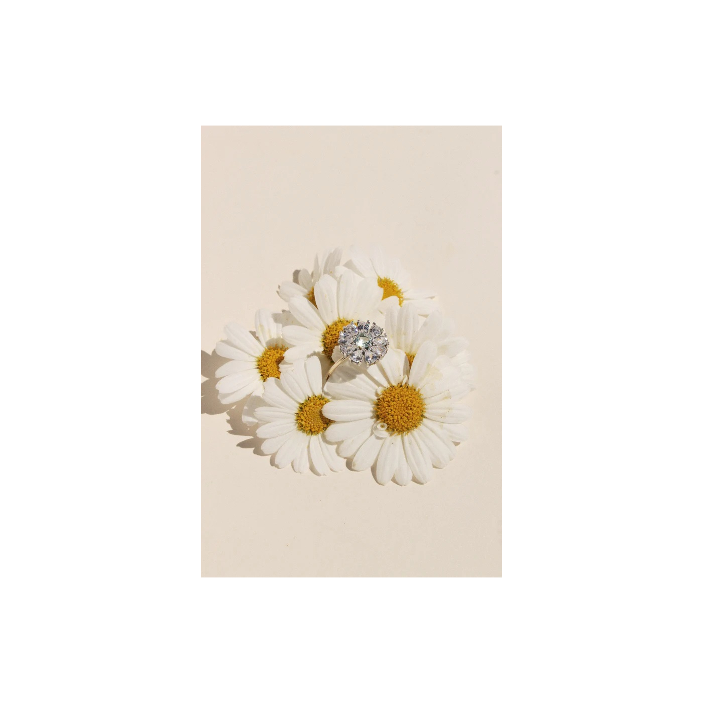 ANILLO CASIOPEA 44