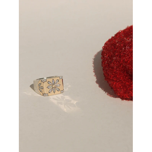 ANILLO BENNU 43