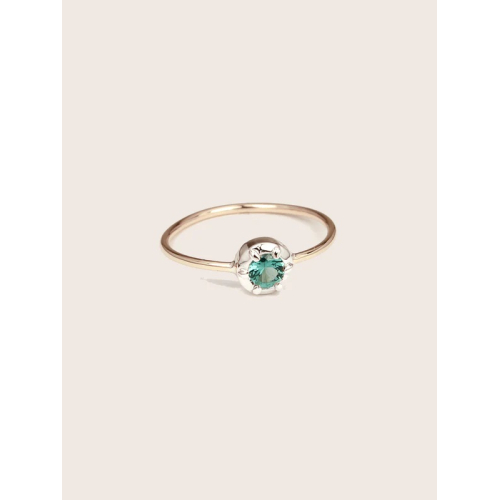 ANILLO MIMAS 63