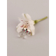 ANILLO JOVIAN 09