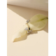 ANILLO CASIOPEA 14