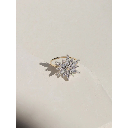 ANILLO BENNU 38