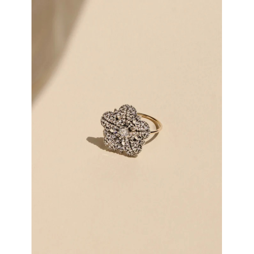 ANILLO MIMAS 29