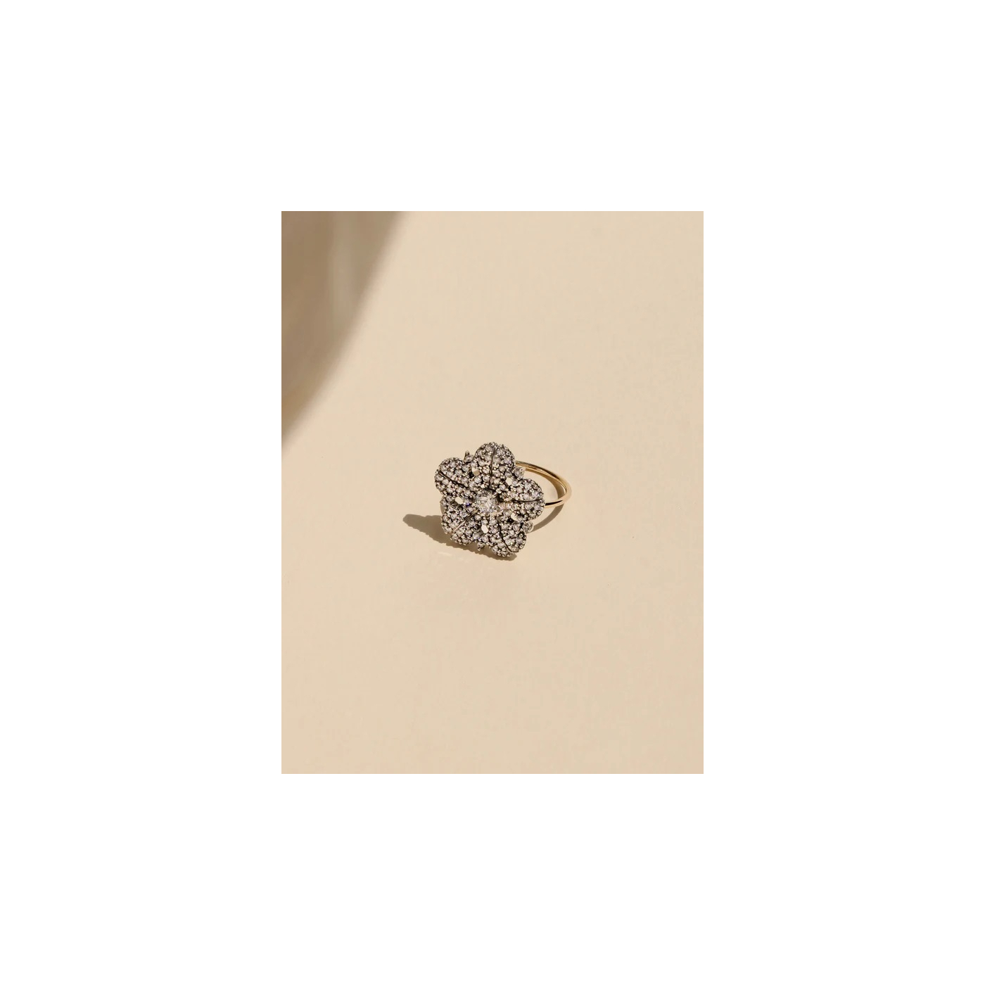 ANILLO MIMAS 29