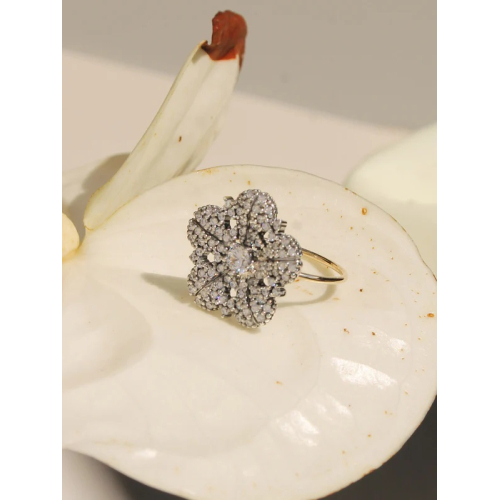 ANILLO MIMAS 29