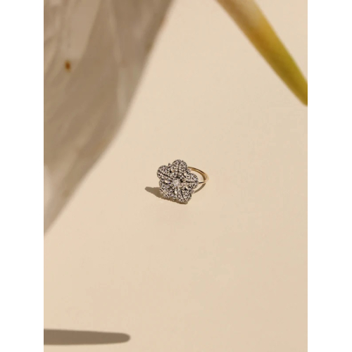 ANILLO MIMAS 29