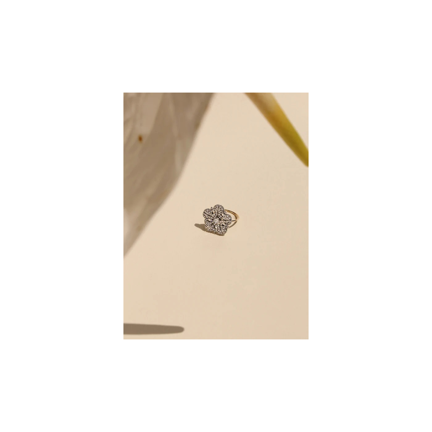ANILLO MIMAS 29