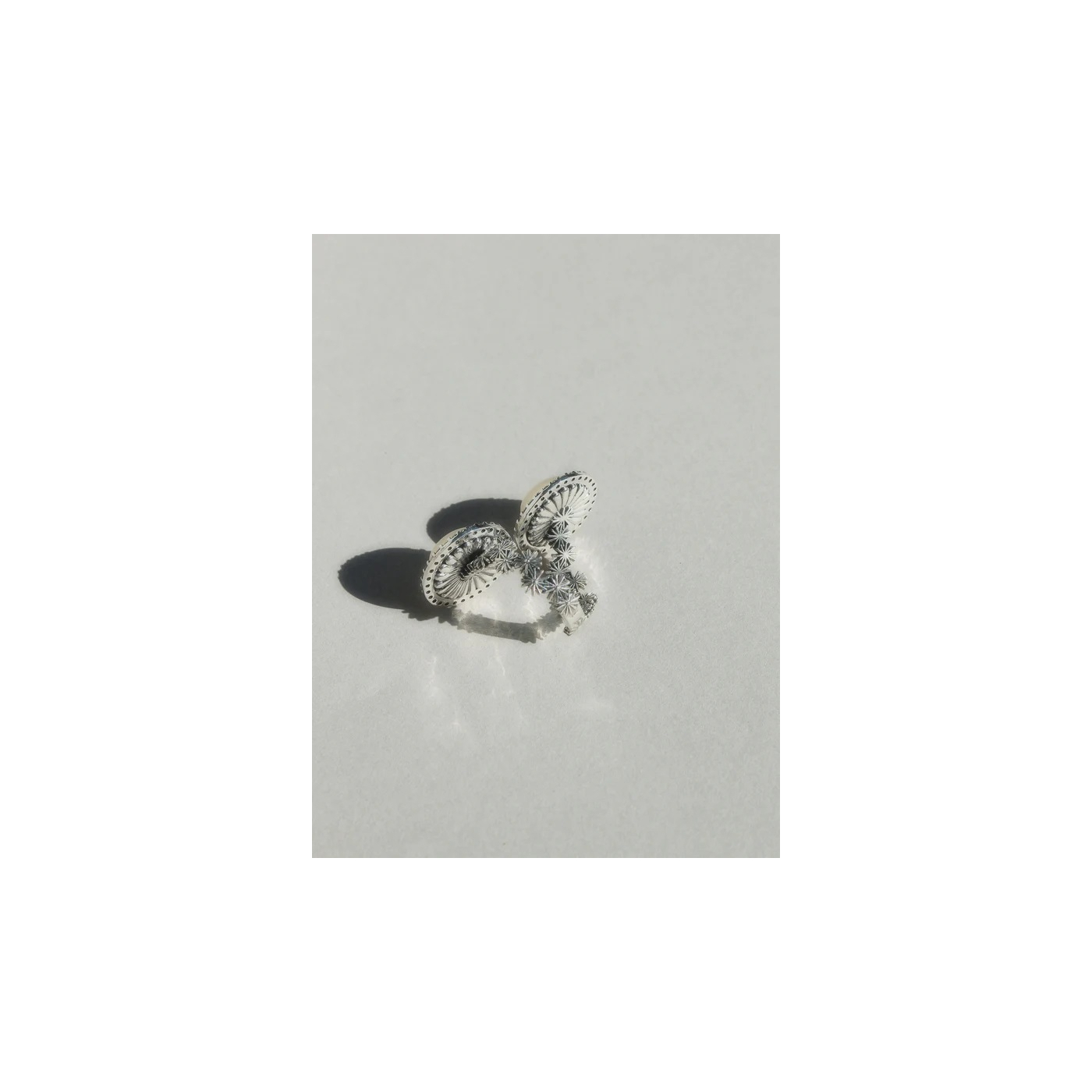 ANILLO SUSAN
