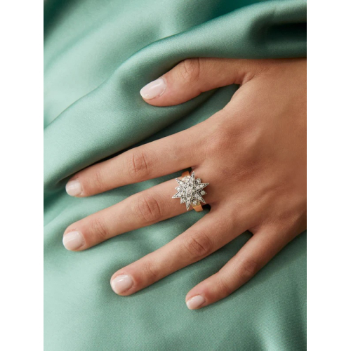 ANILLO MIMAS 14