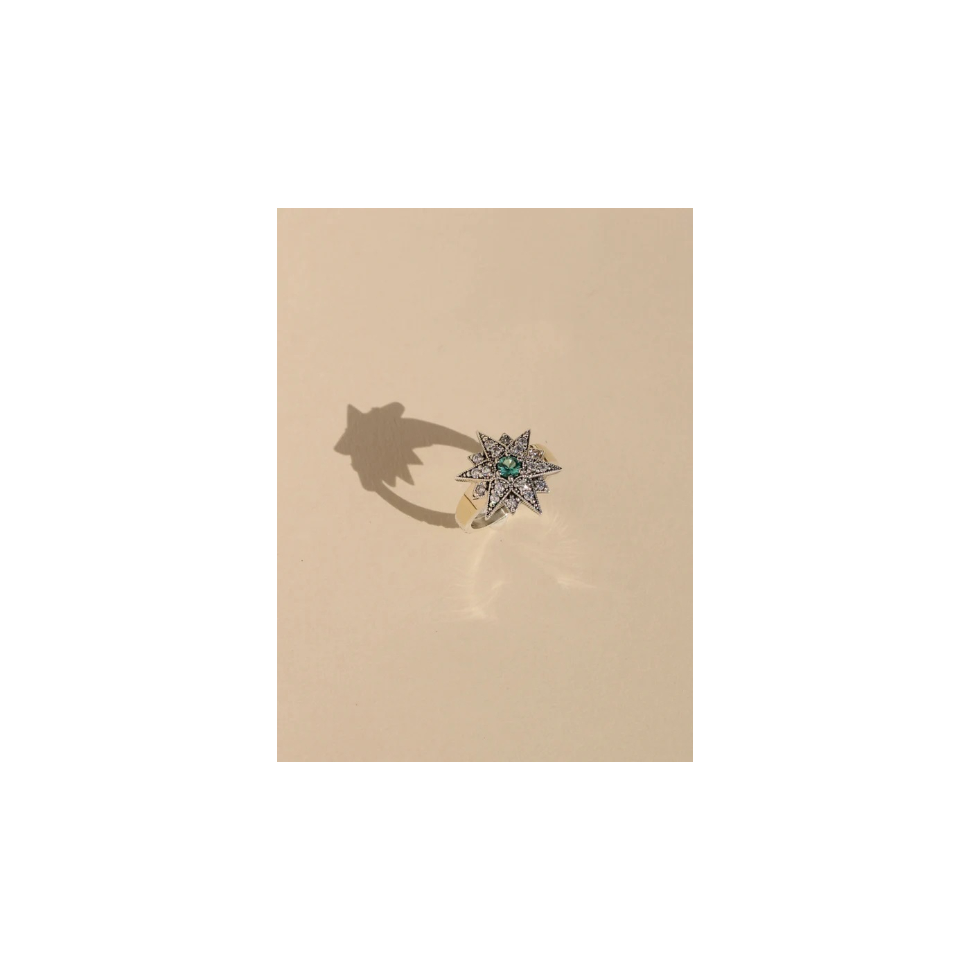ANILLO MIMAS 14