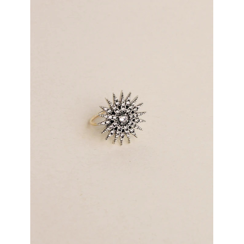 ANILLO BENNU 39