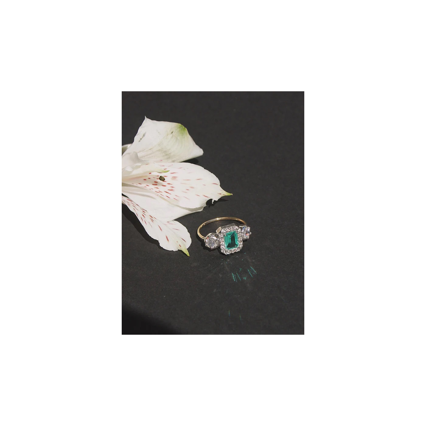 ANILLO MIMAS 08
