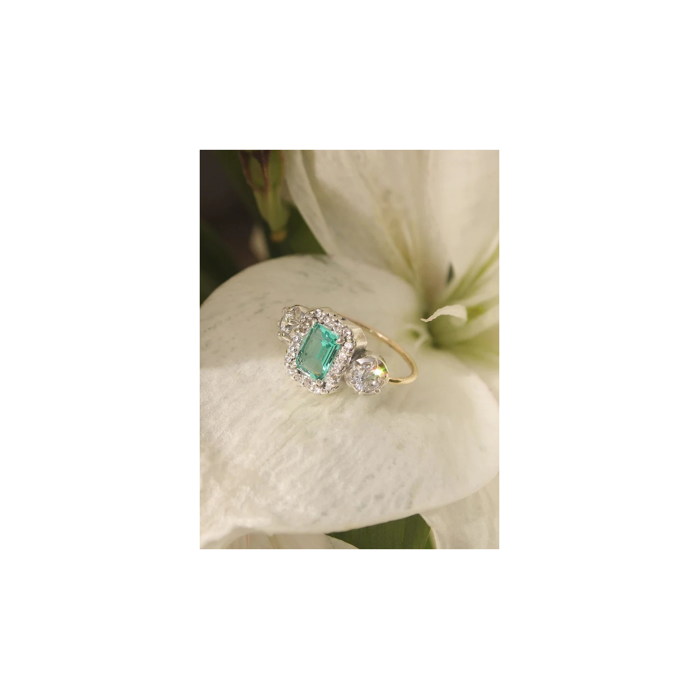 ANILLO MIMAS 08