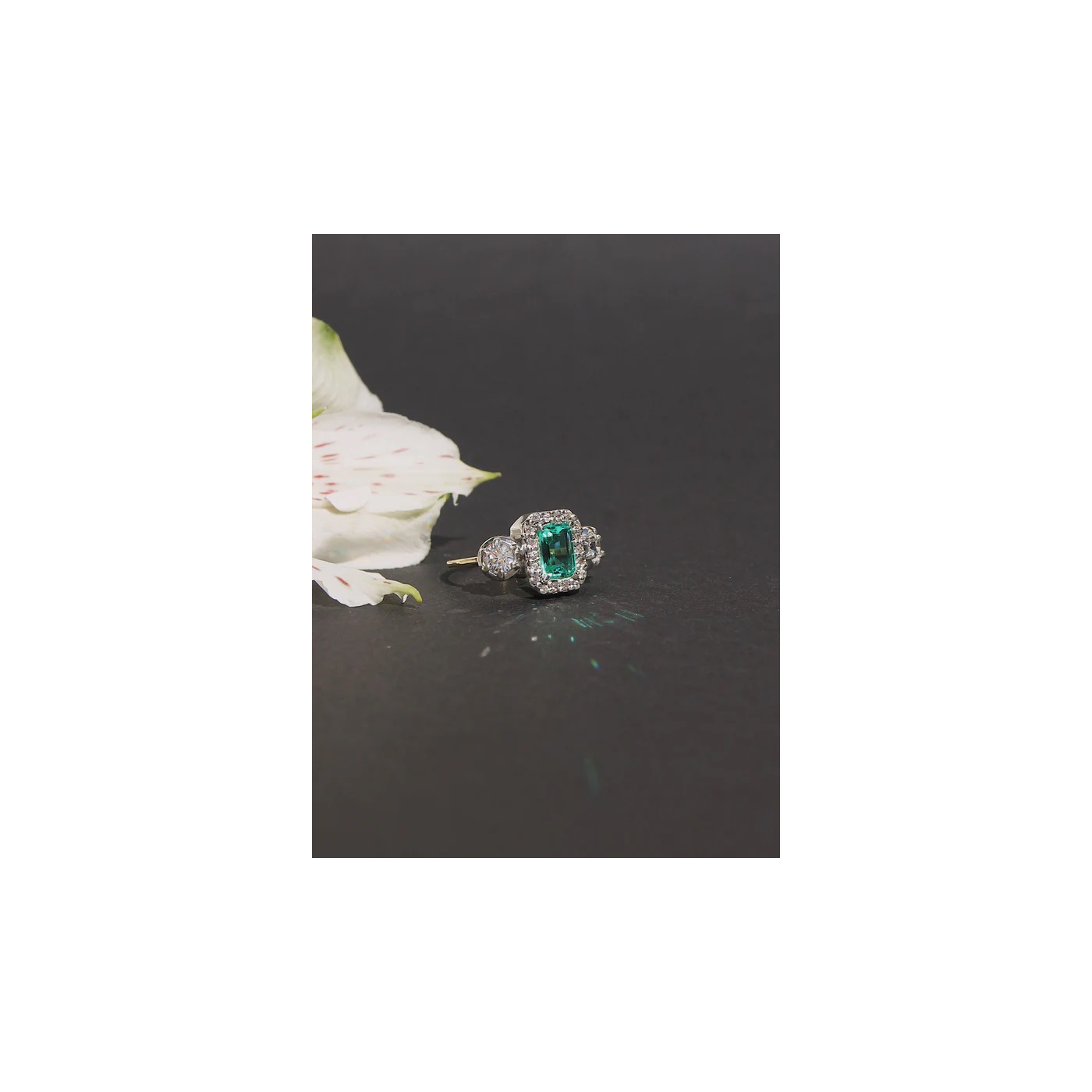 ANILLO MIMAS 08