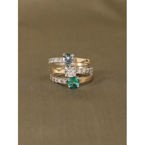 ANILLO ARTIE