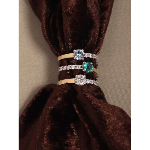 ANILLO ARTIE