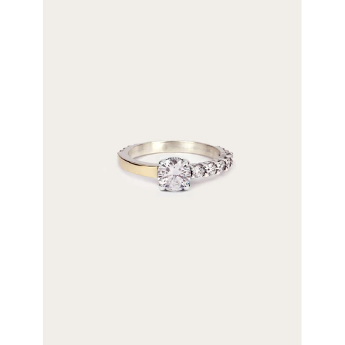 ANILLO ARTIE