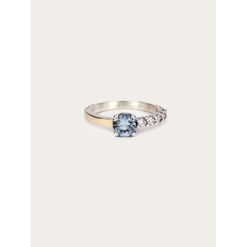 ANILLO ARTIE