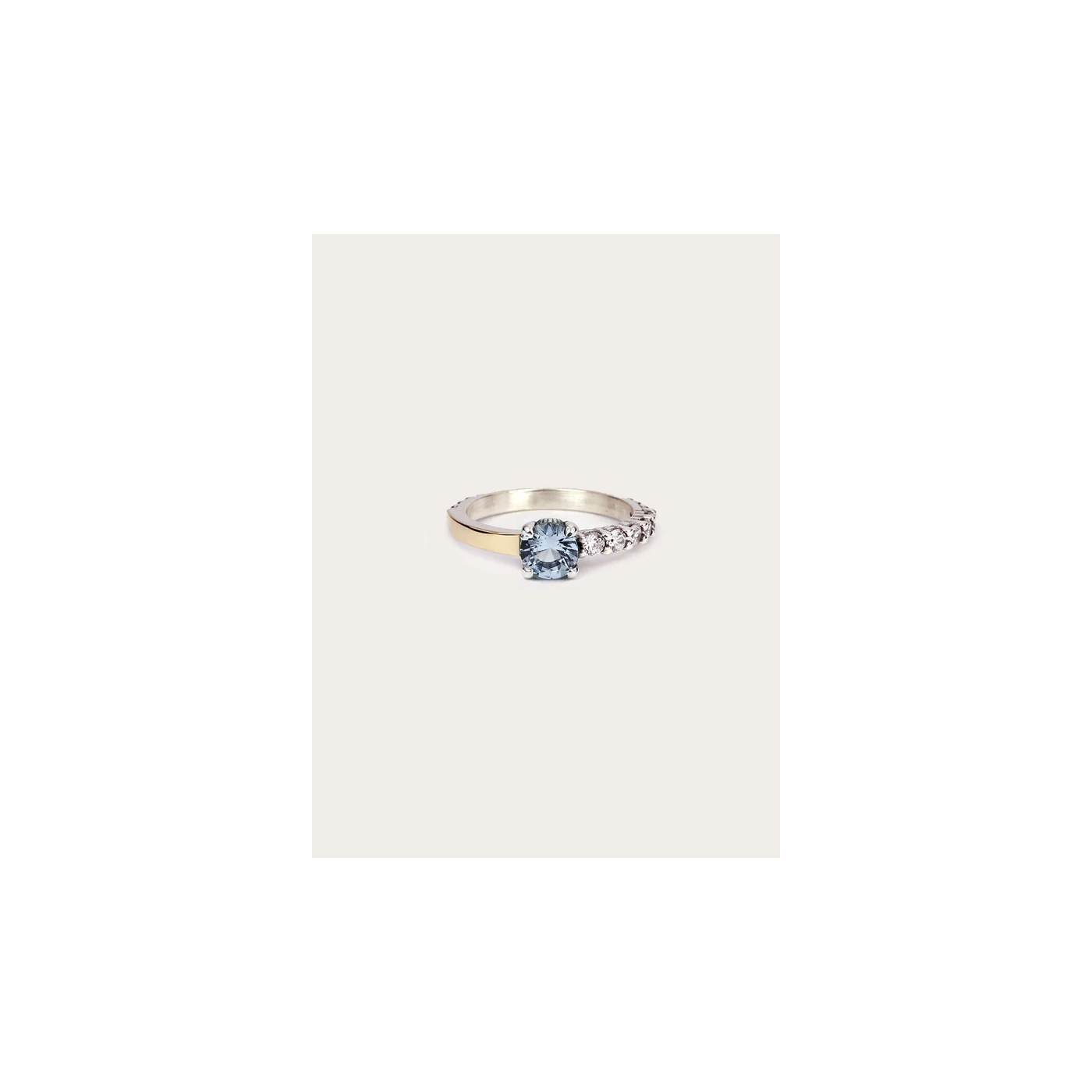ANILLO ARTIE