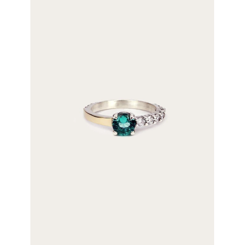 ANILLO ARTIE