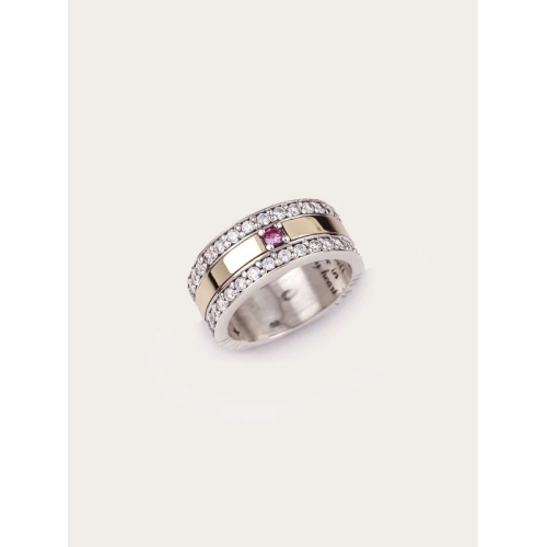 ANILLO SAM