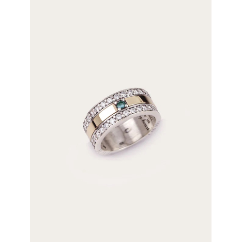 ANILLO SAM