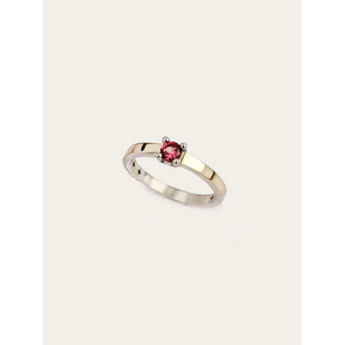 Anillo ACE