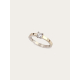 Anillo ACE