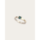 Anillo ACE