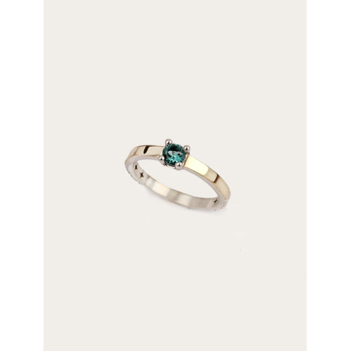 Anillo ACE