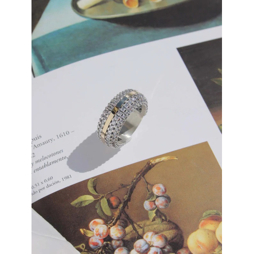 ANILLO CAM