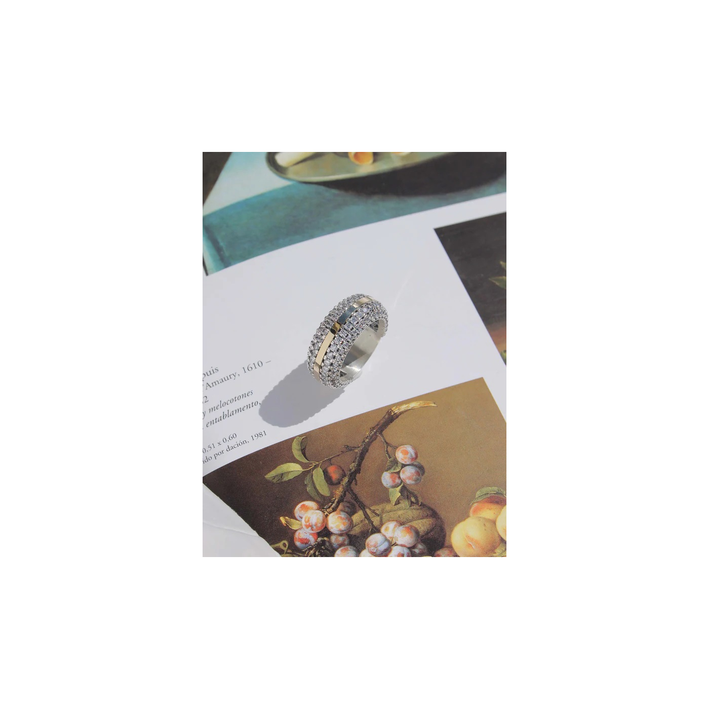 ANILLO CAM