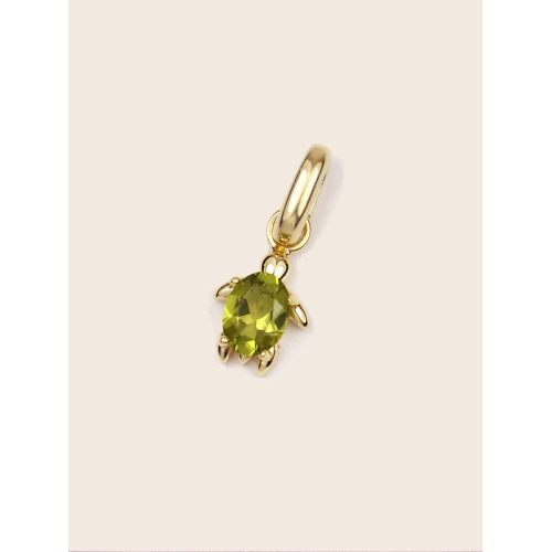 CHARM TORTUGA