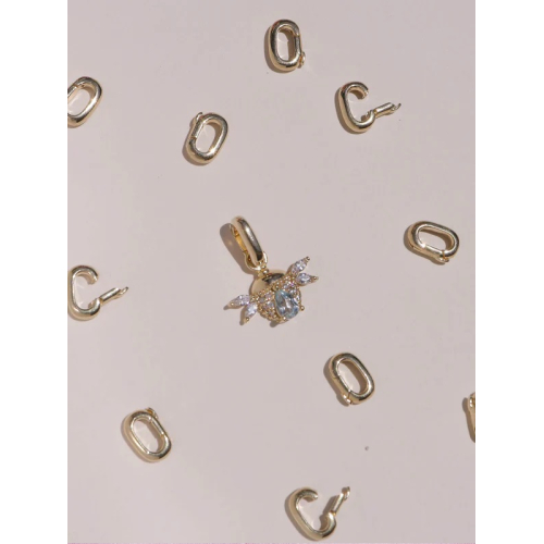 CHARM ESCARABAJO