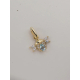 CHARM ESCARABAJO