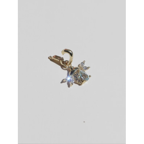 CHARM ESCARABAJO