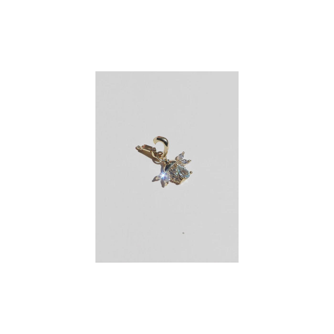 CHARM ESCARABAJO