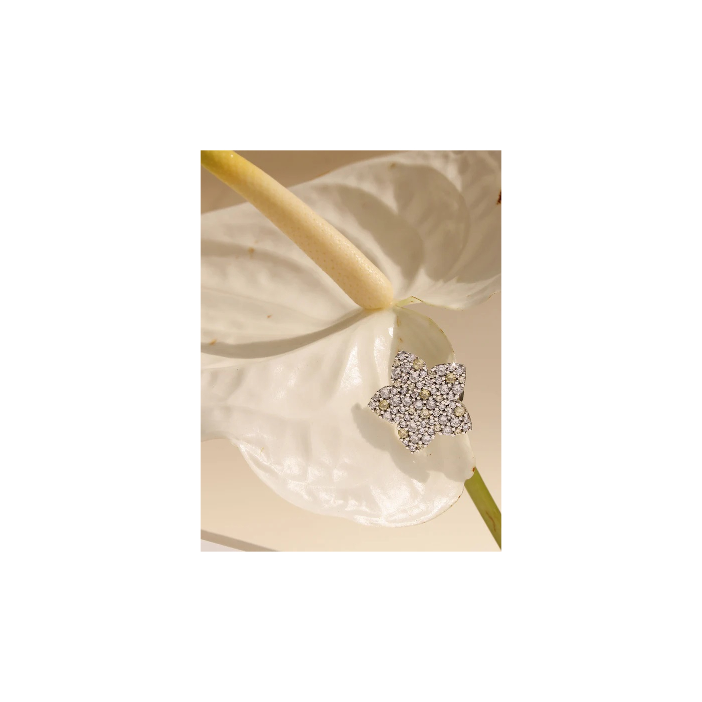 PENDIENTE EARCUFF MIMAS